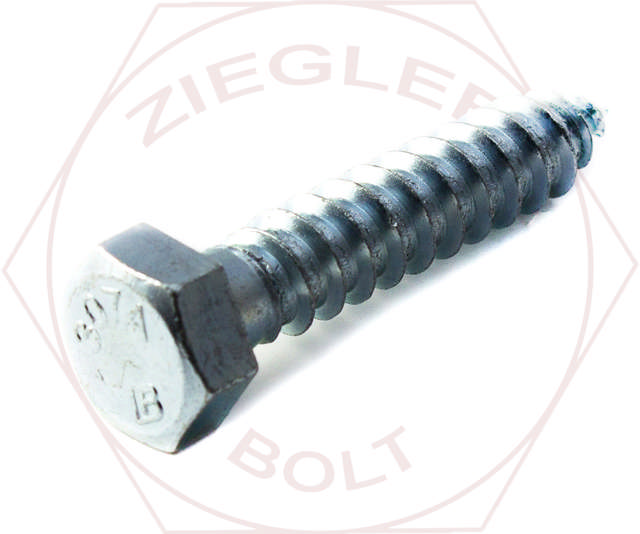 1/2 X 5 HEX LAG BOLT ZINC