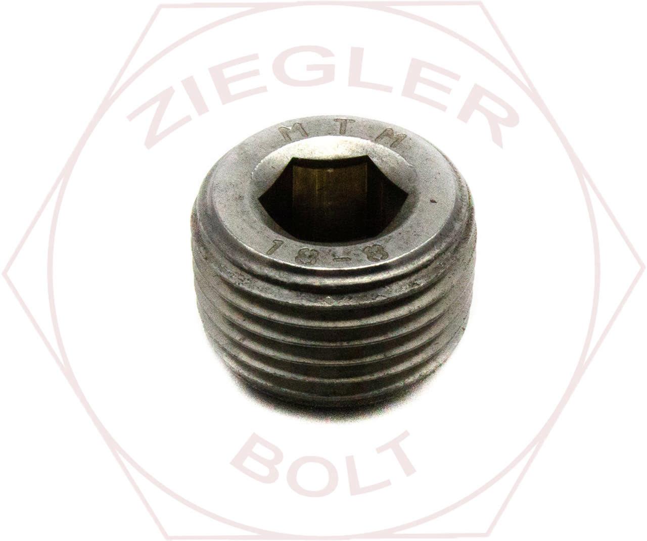 1/4 SOCKET PIPE PLUG 3/4 TAPER DRYSEAL18-8 SS