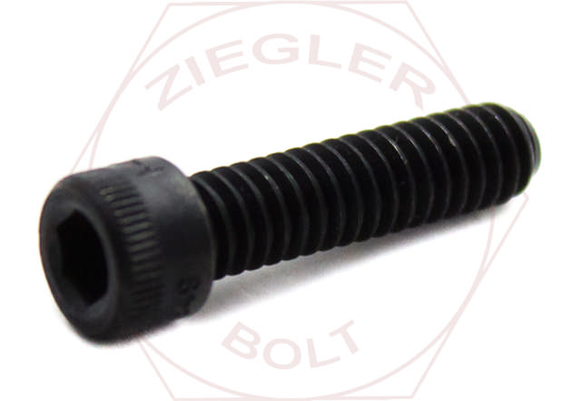 1/2-13 X 8 SOCKET HD CAP SCREW HOLO-KROME