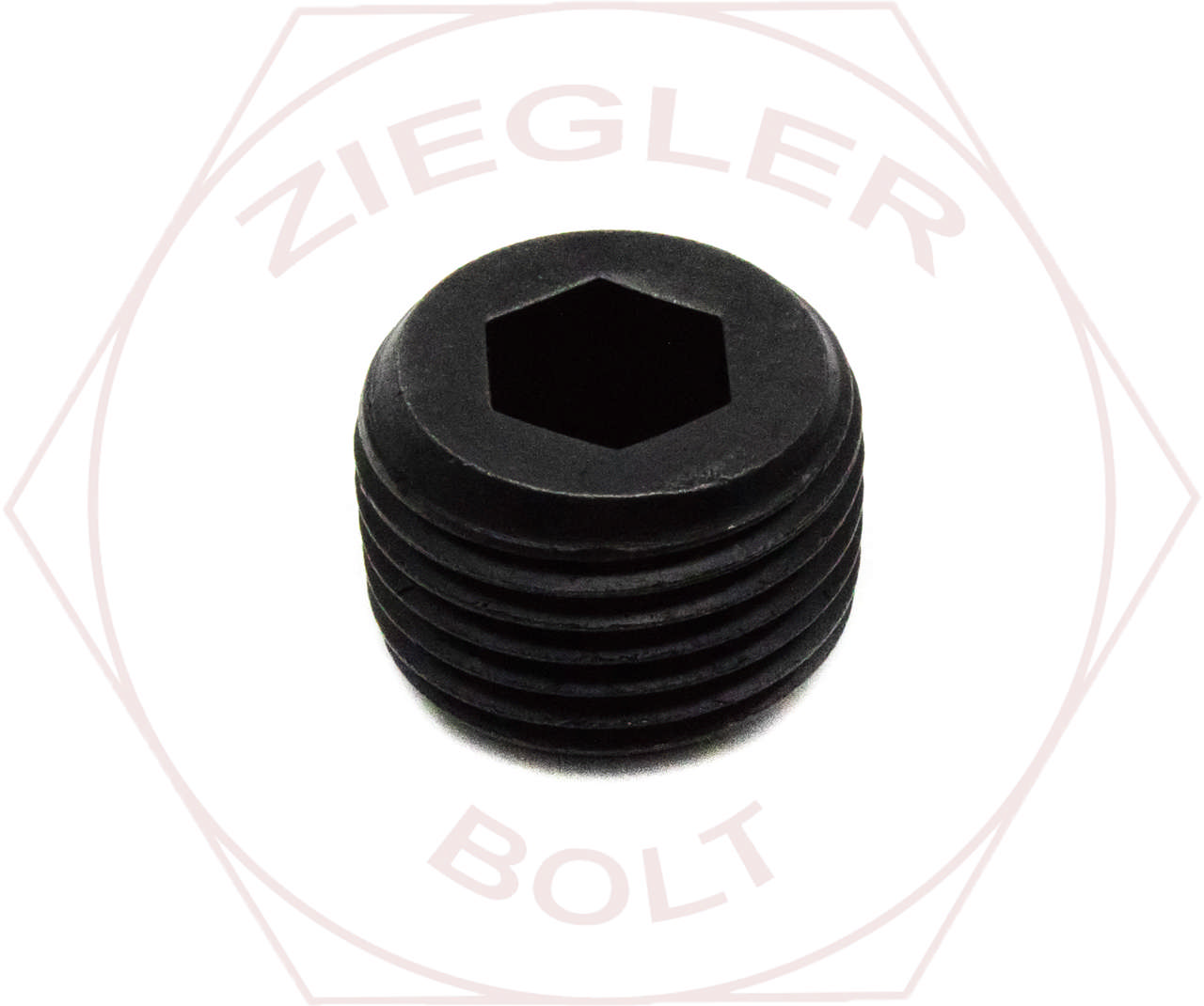 1/4 SOCKET PIPE PLUG HOLO-KROME