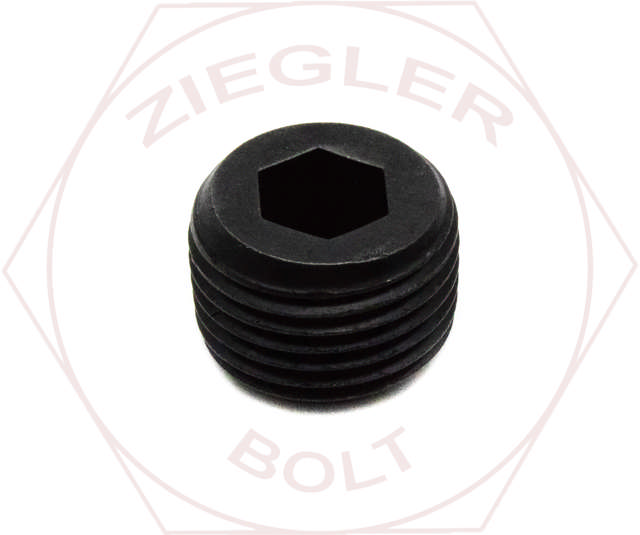 1/8 SOCKET PIPE PLUG DRYSEAL HOLO-KROME