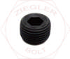 1/4 SOCKET PIPE PLUG-FLUSHSEAL HOLO-KROME