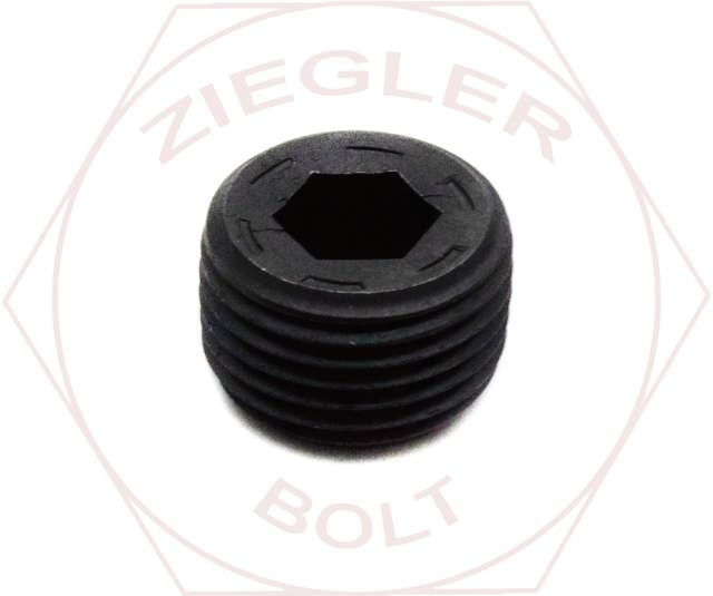 1/8 SOCKET PIPE PLUG-FLUSHSEAL HOLO-KROME