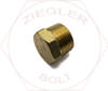 3/4 HEX HEAD PIPE PLUG BRASS