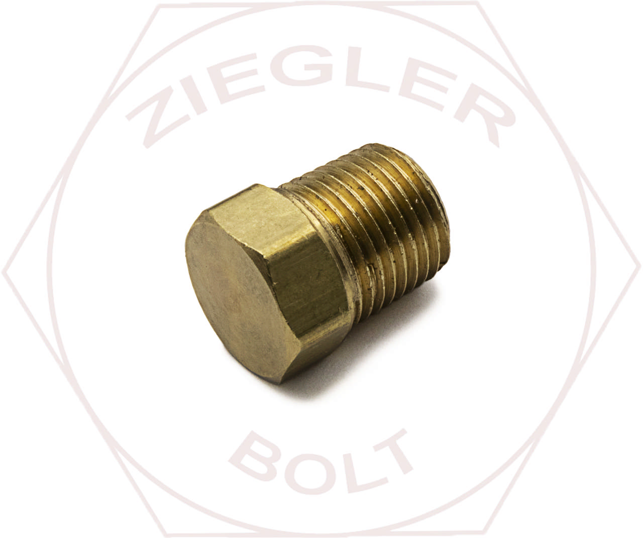 1/8 HEX HEAD PIPE PLUG BRASS