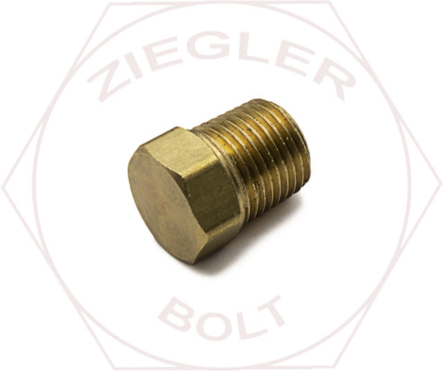 1/8 HEX HEAD PIPE PLUG BRASS