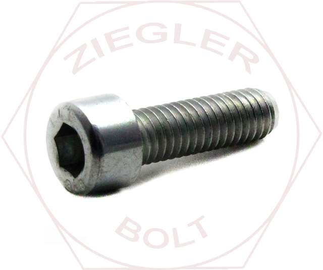 M5-.8 X 25 SOC CAP SCREW CLASS 8.8 DIN 912 ZINC