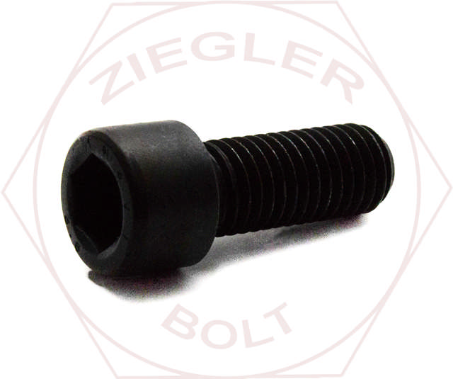 M5-.8 X 16 SOCKET HEAD CAP SCREW CLASS 8.8 PLAIN