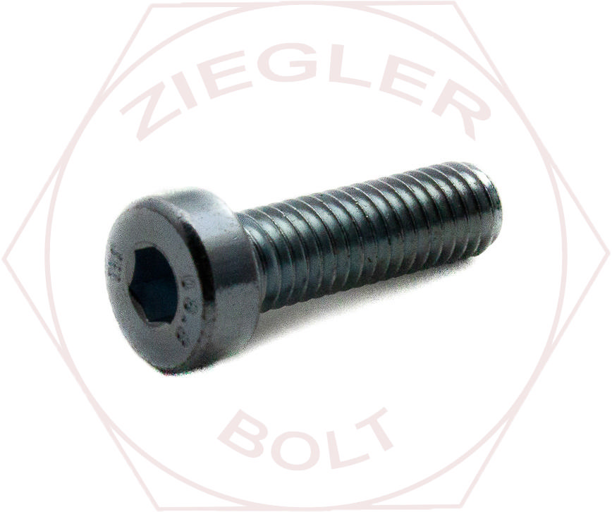M6-1 X 16 LOW HD SOCKET CAP SCREW ZINC DIN 7984