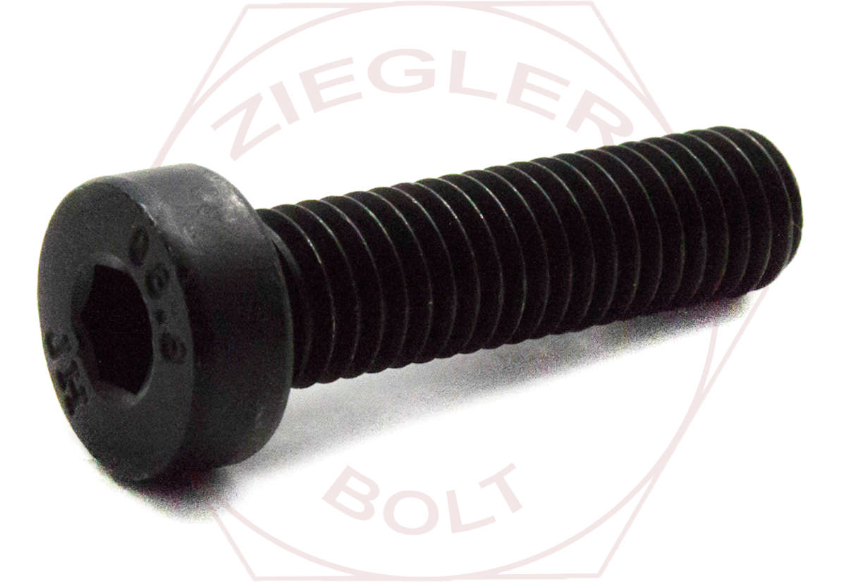 M10-1.5 X 16 LOW-HD SKT CAP SCREW DIN 7984 FULL TH