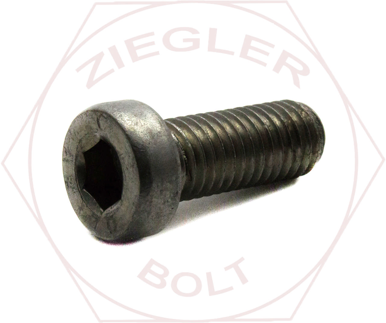 M10-1.5 X 20 LOW-HD SKT CAP SCREW A2 STAINLESS