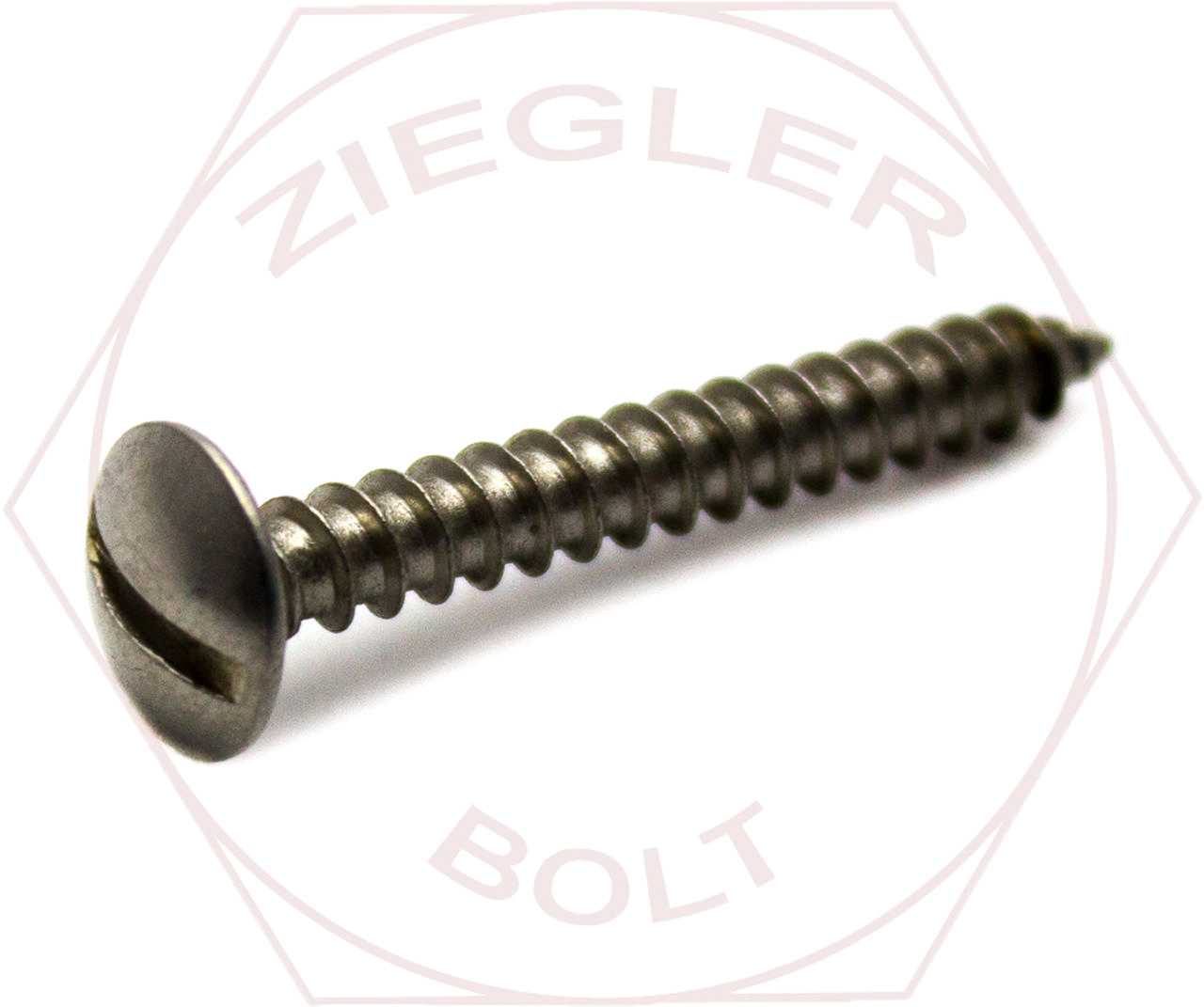 #4 X 1/4 SLOT TRUSS T/S 18-8 STAINLESS