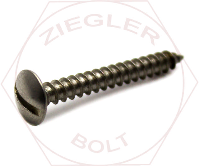 6-20 X 3/8 SLOT TRUSS T/S 18-8 STAINLESS