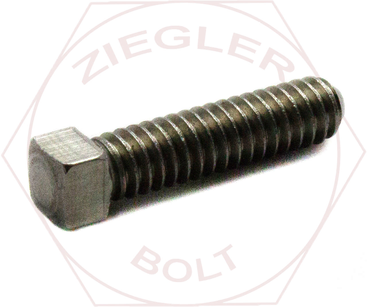 1/4-20 X 1/2 SQ HD SET CUP PT 18-8 STAINLESS