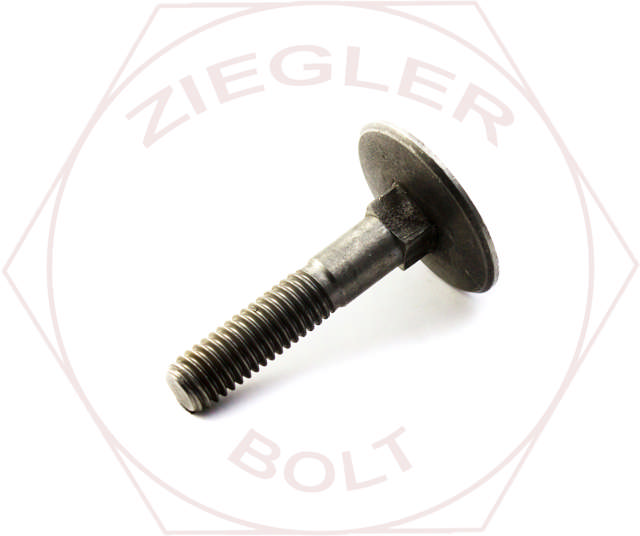 5/16-18 X 2 ELEVATOR BOLT 18-8 STAINLESS