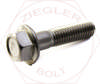 5/16-18 X 3/4 HEX FLANGE BOLT SERRATED 316 SS