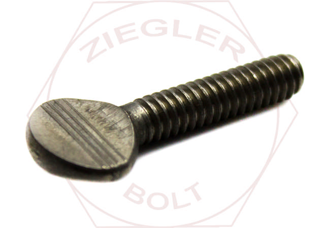 3/8-16 X 3/4 THUMB SCREW 18-8 STAINLESS