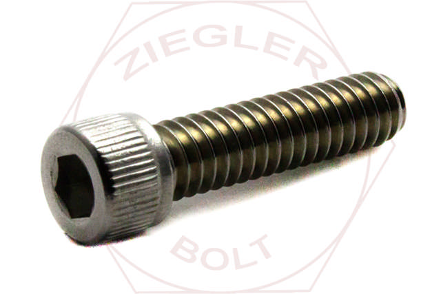 1/2-13 X 4 SOCKET HD CAP SCREW 18-8 STAINLESS