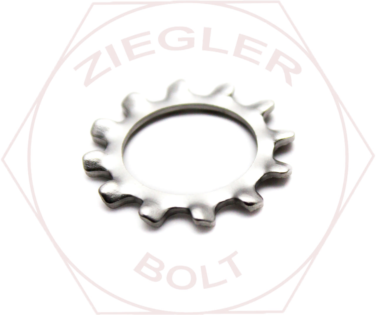 M10 EXTERNAL TOOTH LOCK WASHER A2 STAINLESS