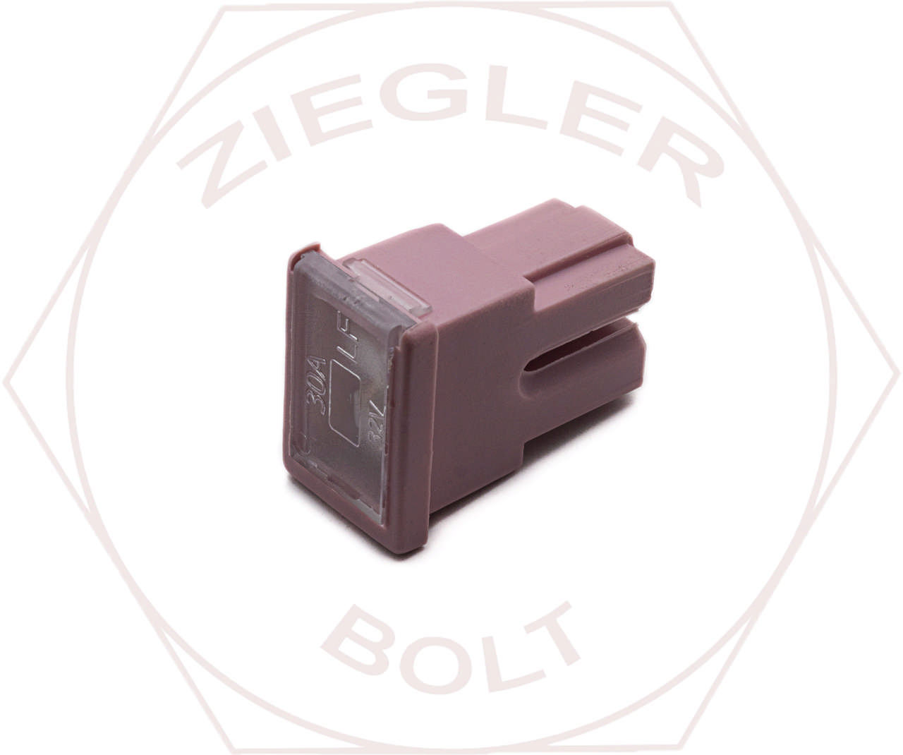  CARTRIDGE STYLE FUSE 30 AMP PAL FEMALE TERM