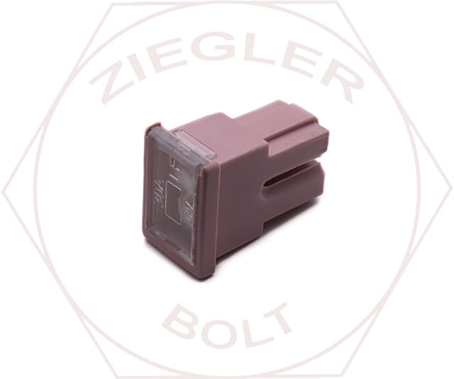  CARTRIDGE STYLE FUSE 30 AMP PAL FEMALE TERM