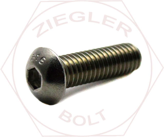 6-32 X 3/8 BUTTON SOC CAP SCREW 316 STAINLESS