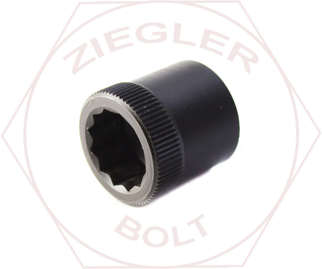 1/4-20 ALLEN NUT HOLO-KROME