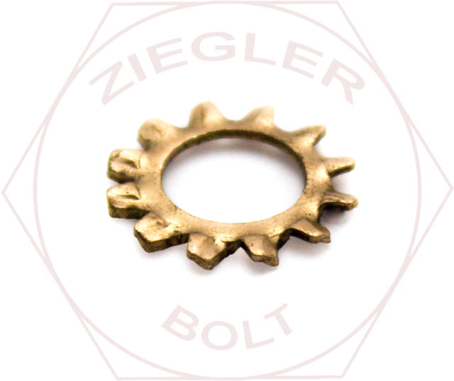 #10 EXTERNAL TOOTH L/W SIL/BRNZ