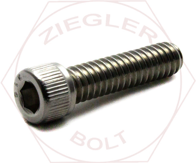 7/16-20 X 3/4 SOCKET CAP SCREW FINE THRD 316 SS