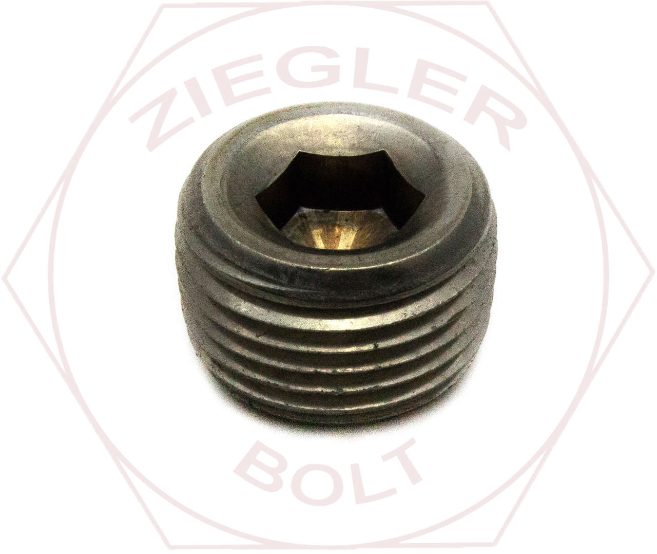 1/4 SOCKET PIPE PLUG-DRYSEAL 316 STAINLESS