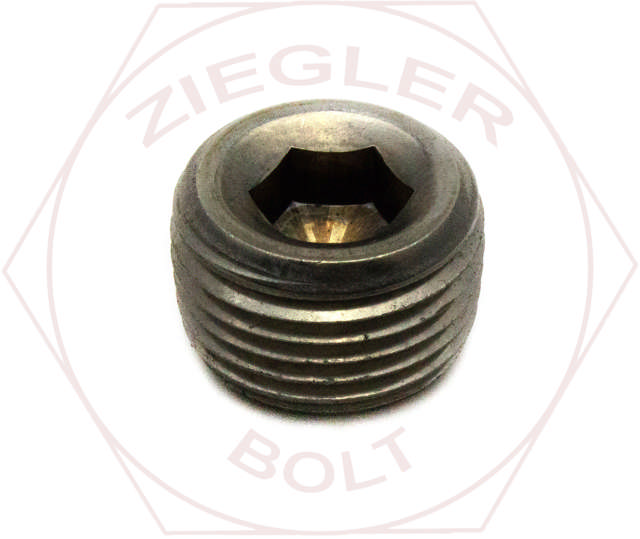 1 SOCKET PIPE PLUG 3/4 TAPER DRYSEAL 316 SS