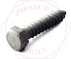 1/4 X 1 HEX LAG BOLT HDG