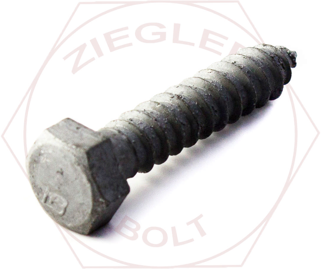 1/4 X 1 HEX LAG BOLT HDG