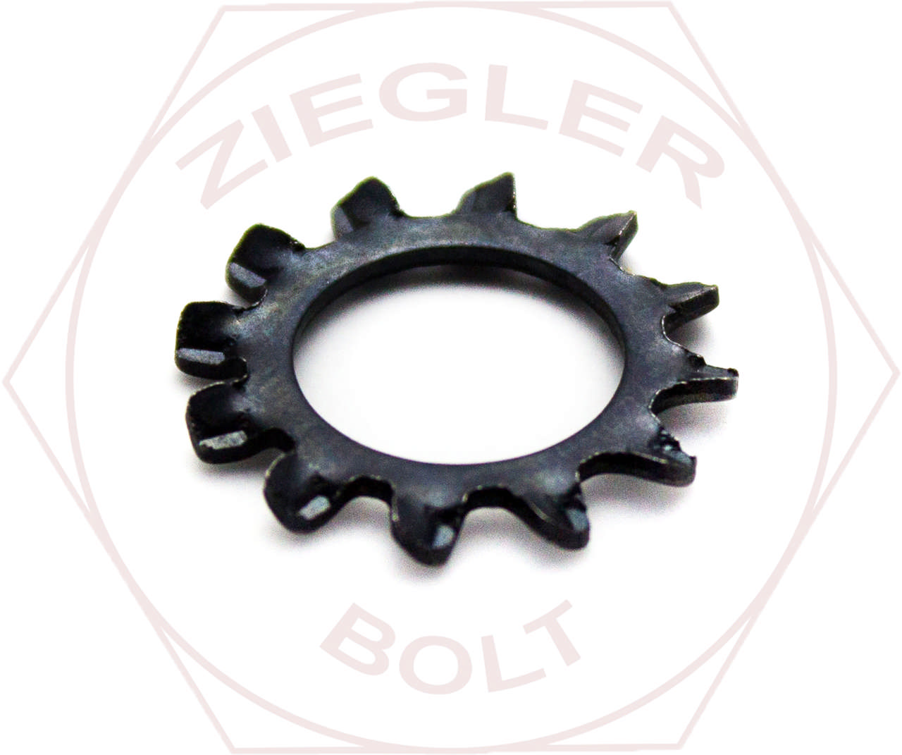 M14 EXTERNAL TOOTH L/W