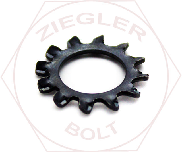 #6 EXTERNAL TOOTH L/W PLAIN