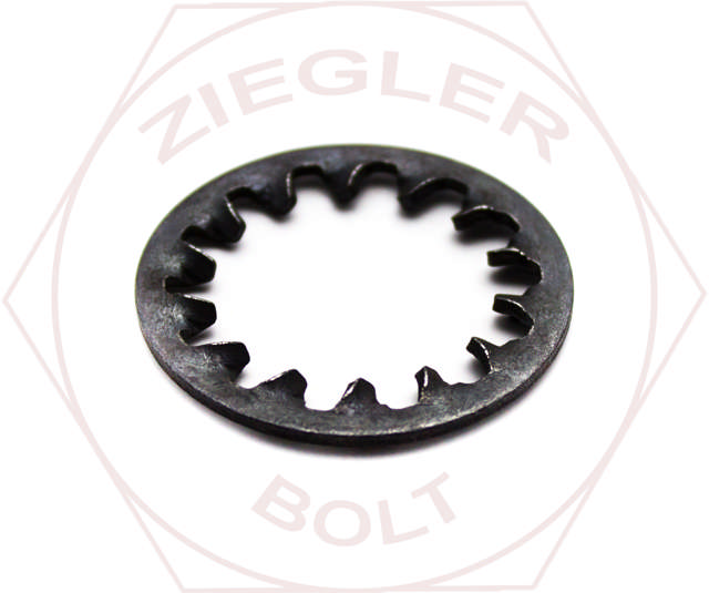 #8 INTERNAL TOOTH L/W PLAIN