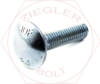 M10-1.5 X 20 CARRIAGE BOLT ZINC