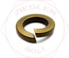 M10 SPLIT LOCK WASHER SIL/BRNZ