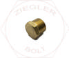 1/2 HEX HEAD PIPE PLUG BRASS