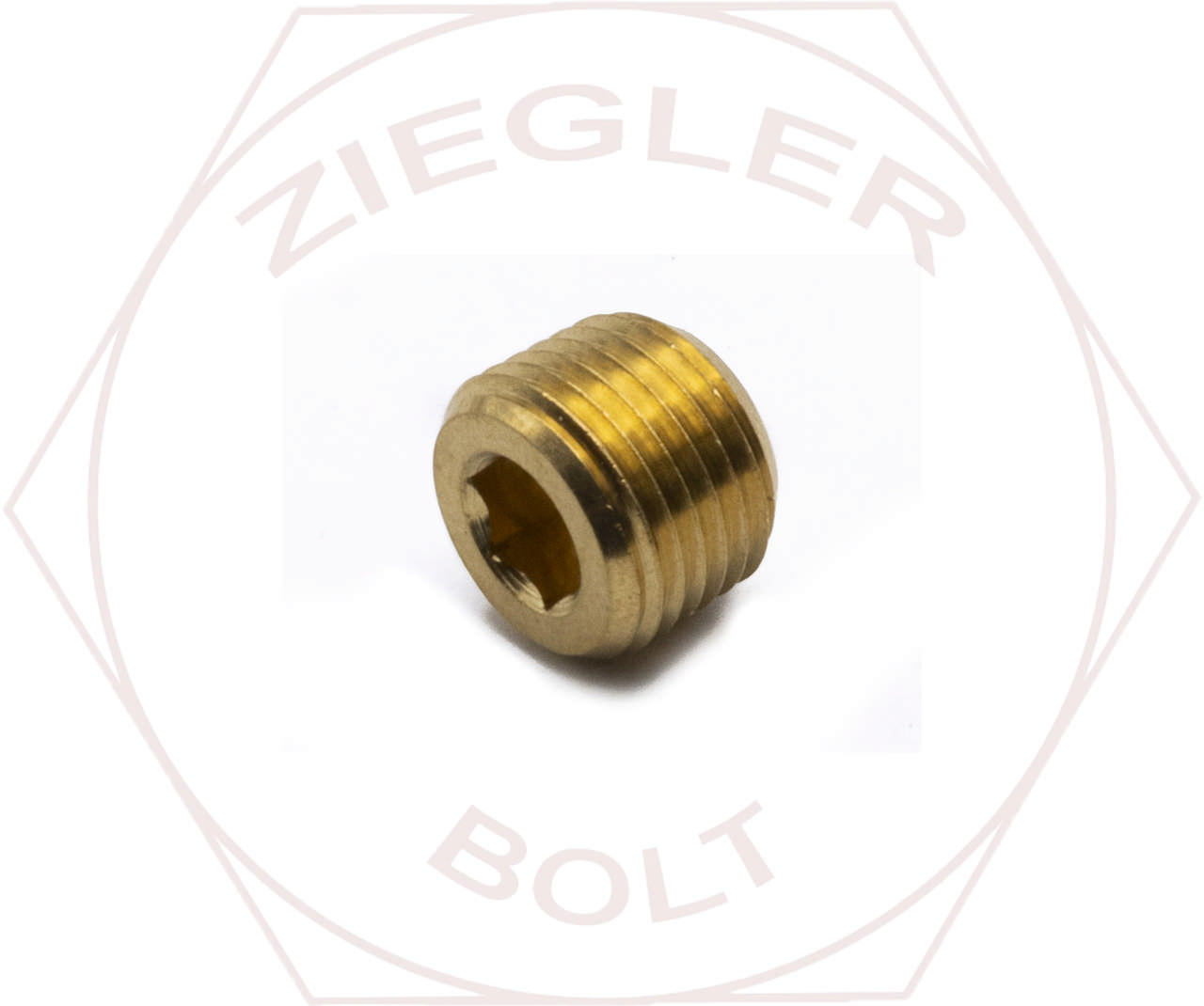 1/8 COUNTERSUNK SOCKET PIPE PLUG BRASS