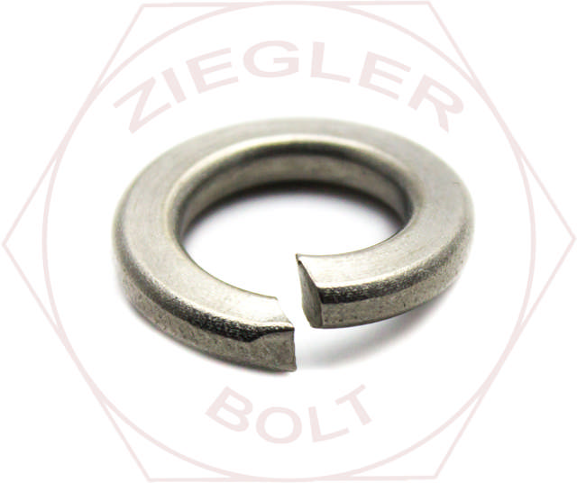 7/8 SPLIT LOCK WASHER 316 STAINLESS