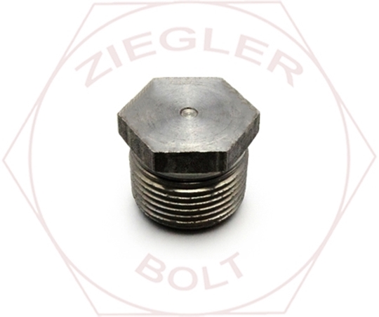 Picture of 1/2 "STEEL" HEX HEAD PLUGS