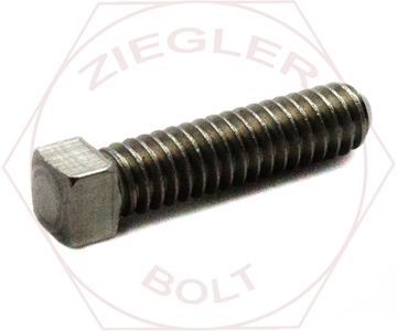 Picture of 3/8-16 X 1/2 SQ HD SET CUP PT 18-8 STAINLESS